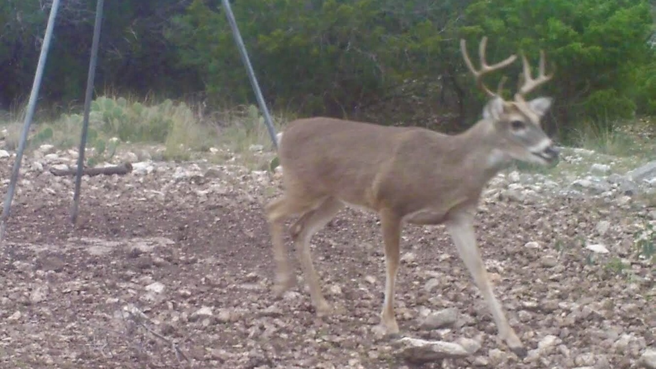Photo of Others in Edwards County