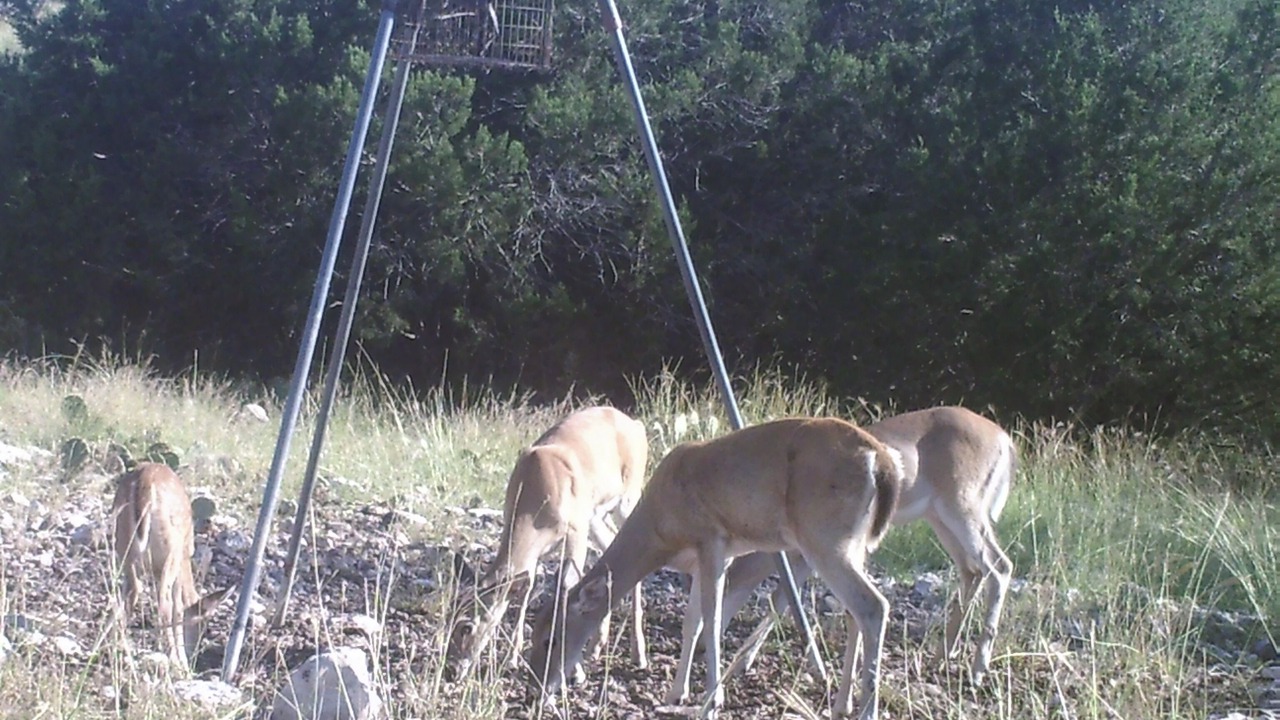 Photo of Others in Edwards County