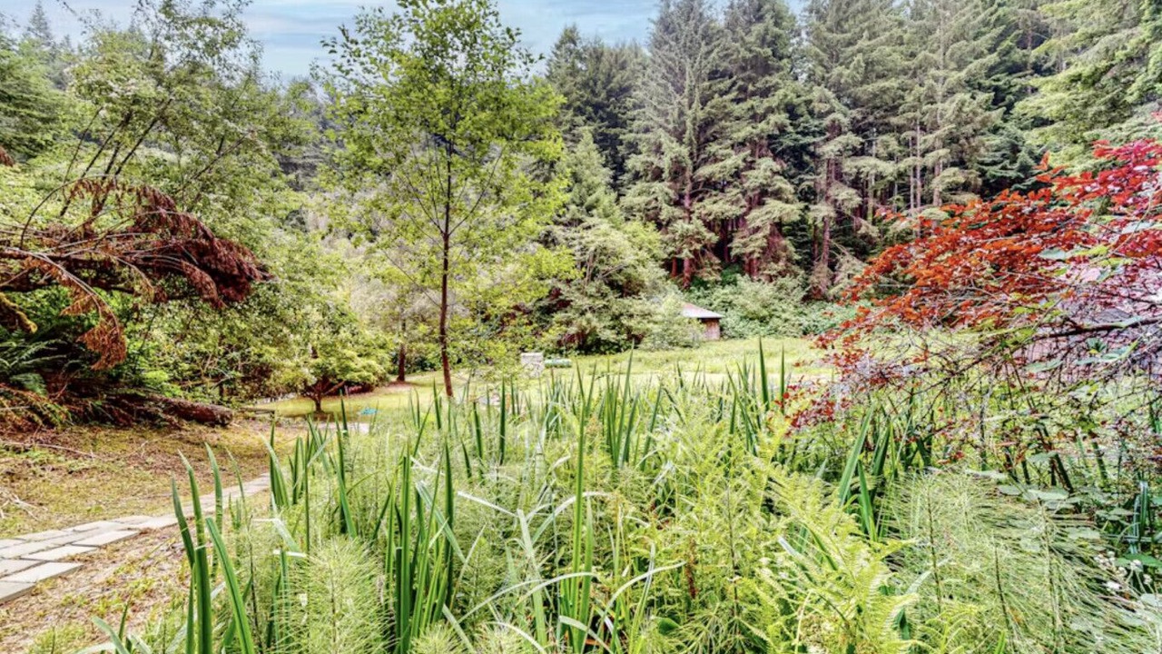 Photo of Outdoor in Humboldt Hill