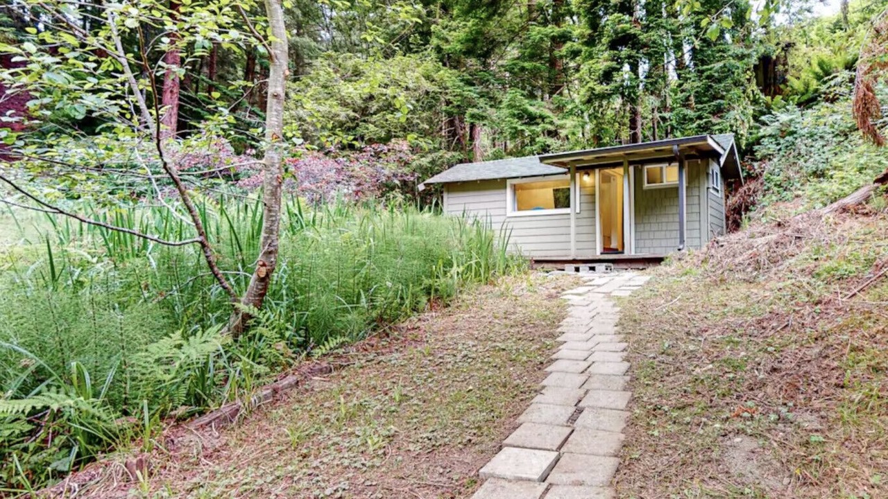 Photo of Outdoor in Humboldt Hill