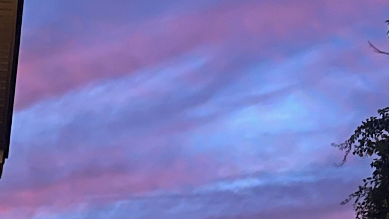 Photo of Others in Assonet