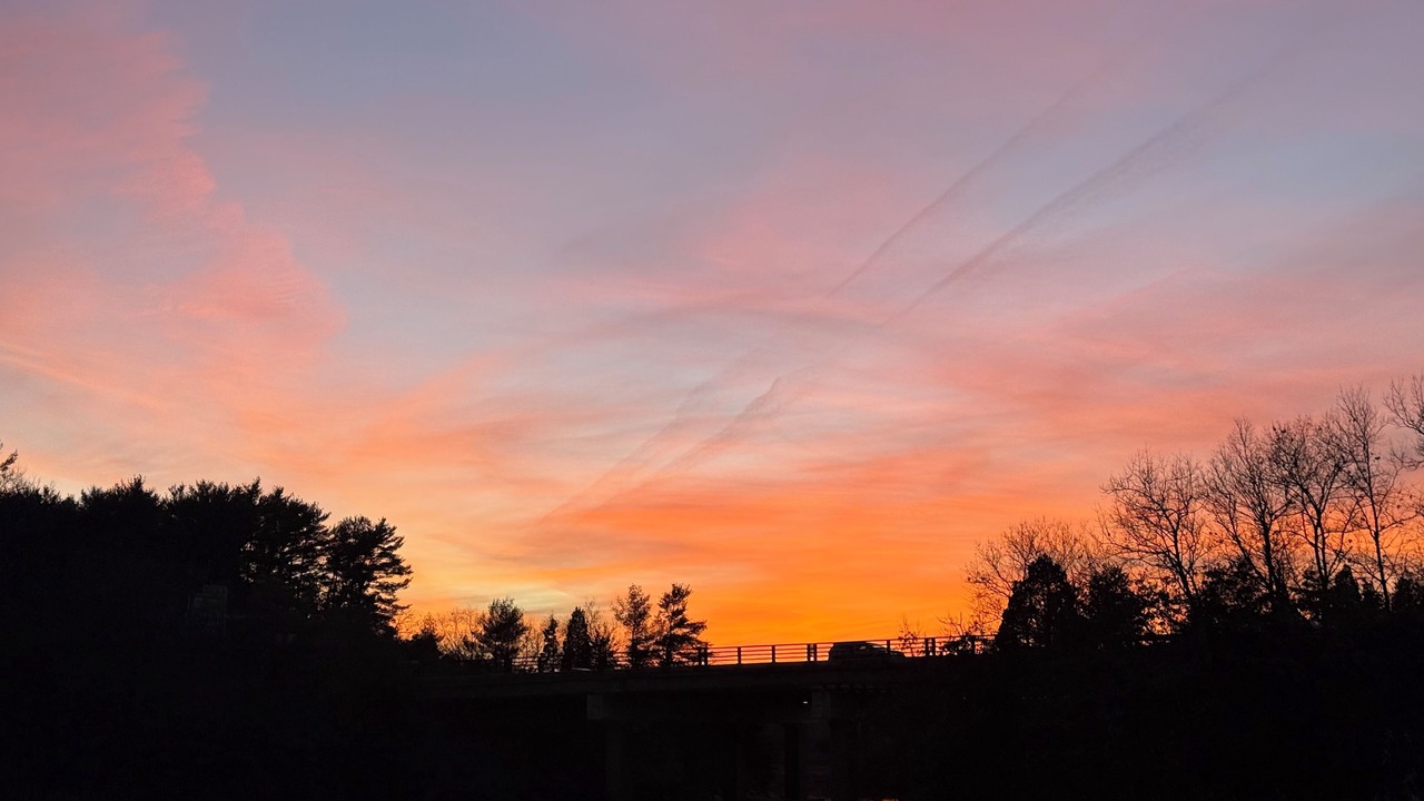 Photo of Others in Assonet