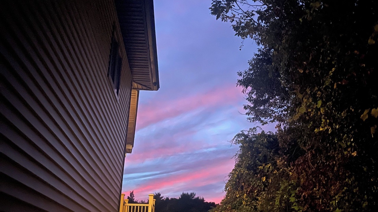 Photo of Others in Assonet