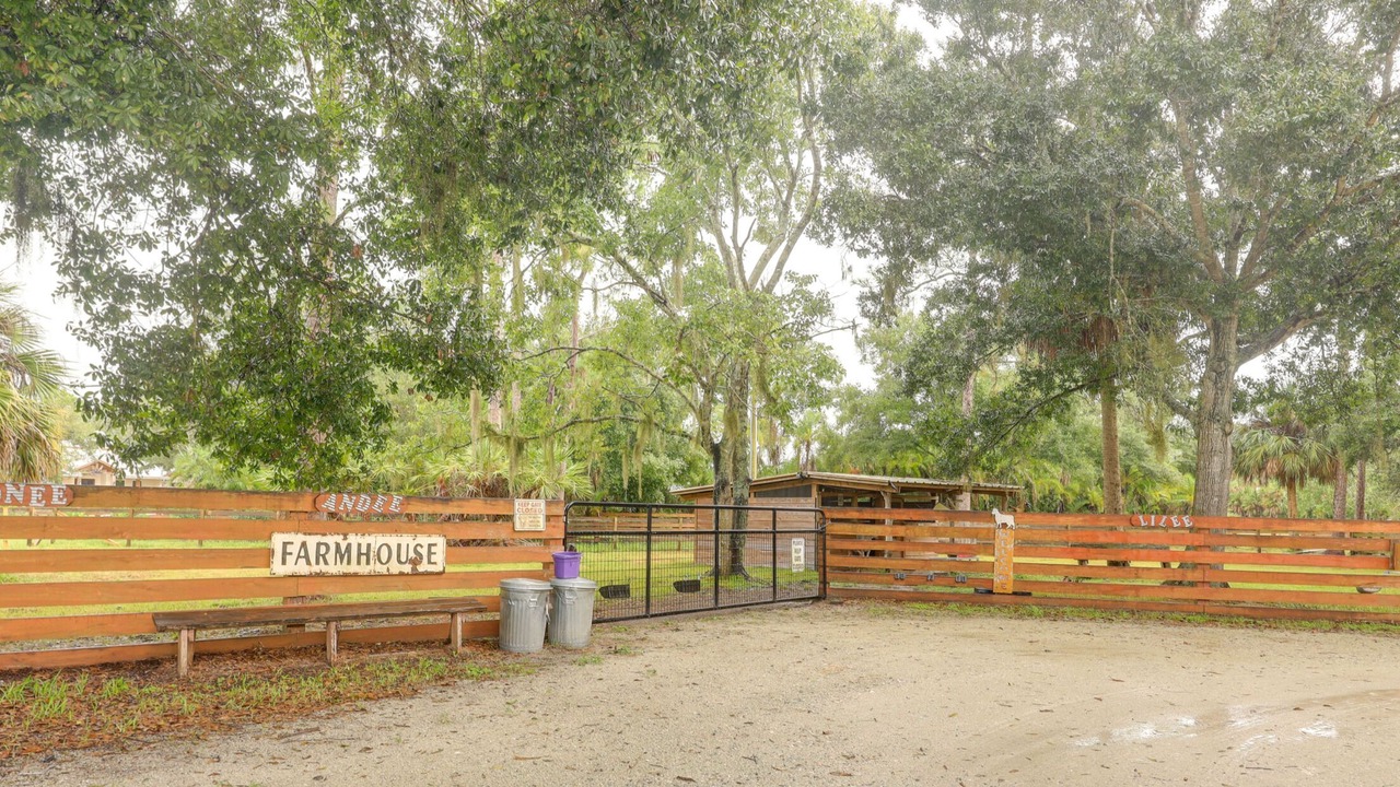 Photo of Others in Palm City