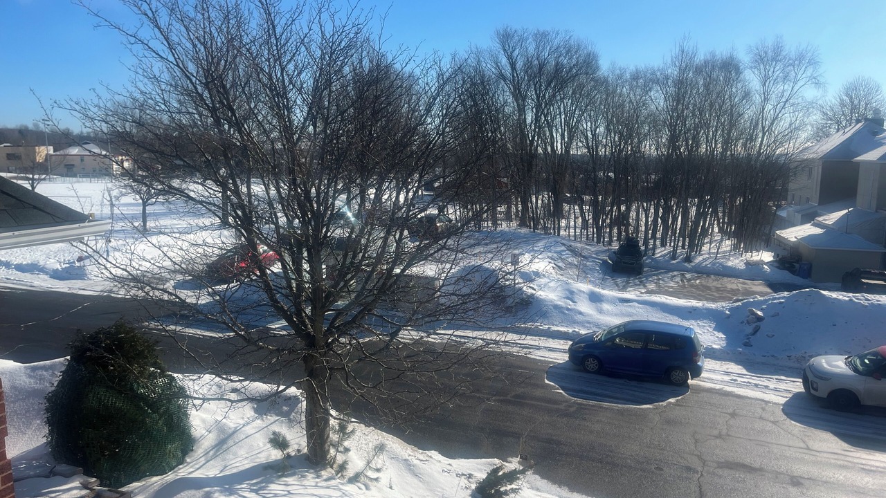 Photo of Outdoor in Quartier 4-3