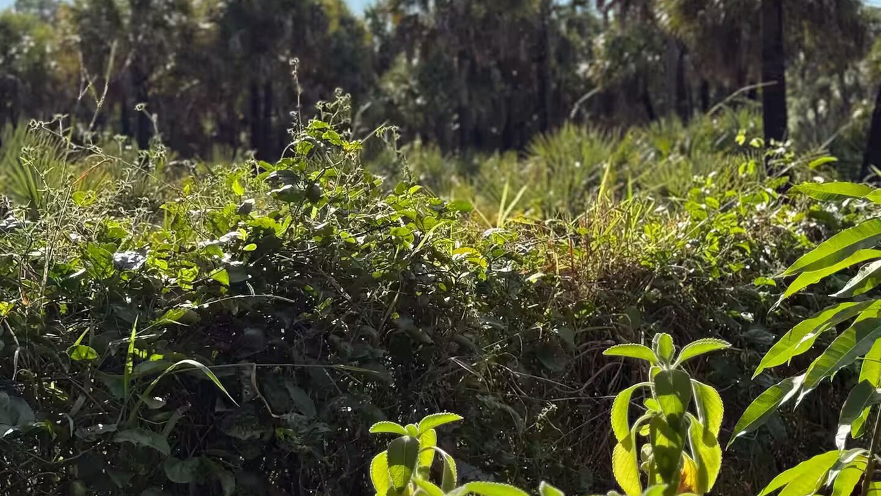 Photo of Outdoor in Rural Estates