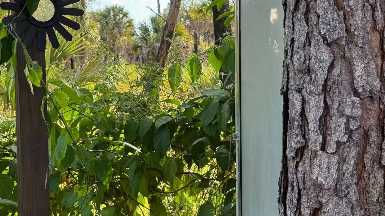 Photo of Outdoor in Rural Estates