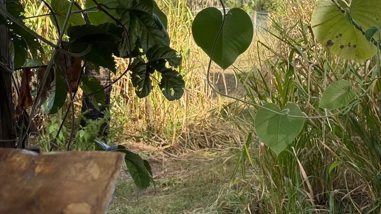 Photo of Outdoor in Rural Estates