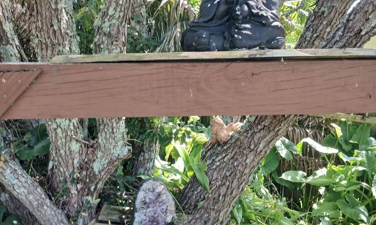 Photo of Outdoor in Army Bay