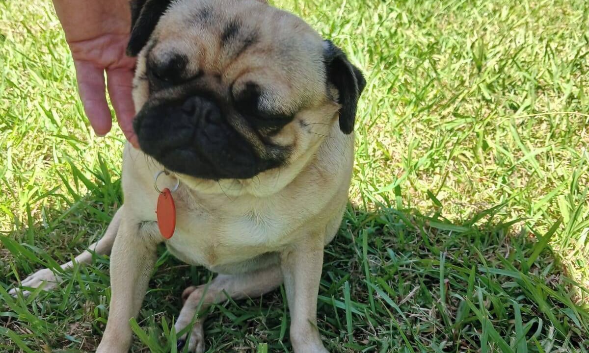 Photo of Others in Army Bay