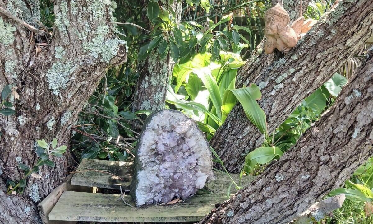 Photo of Outdoor in Army Bay