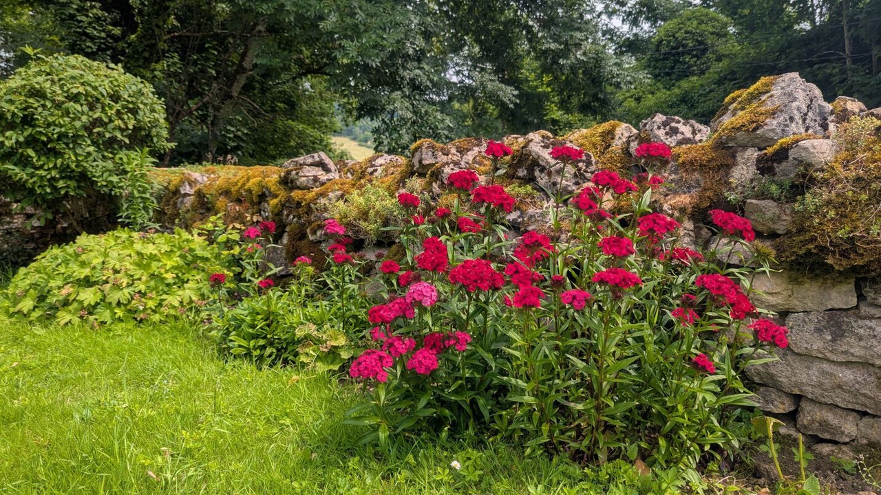 Photo of Outdoor in Langres