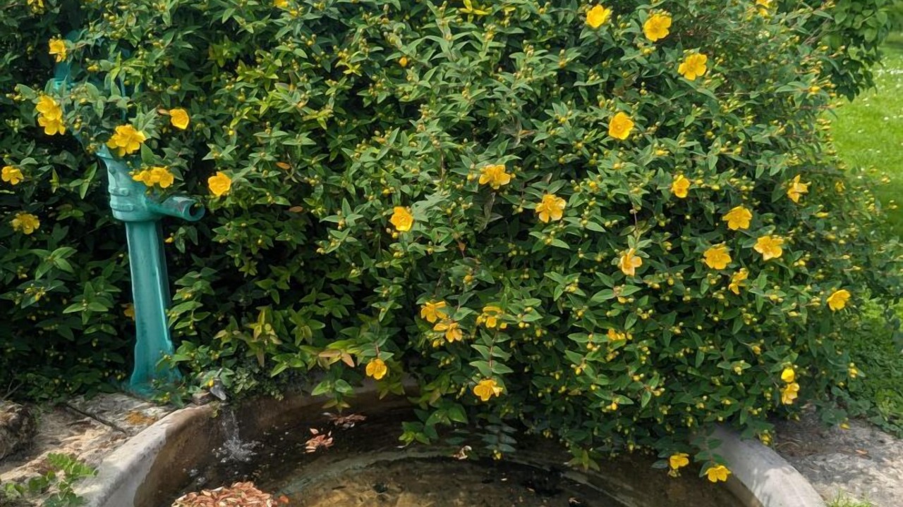 Photo of Outdoor in Langres