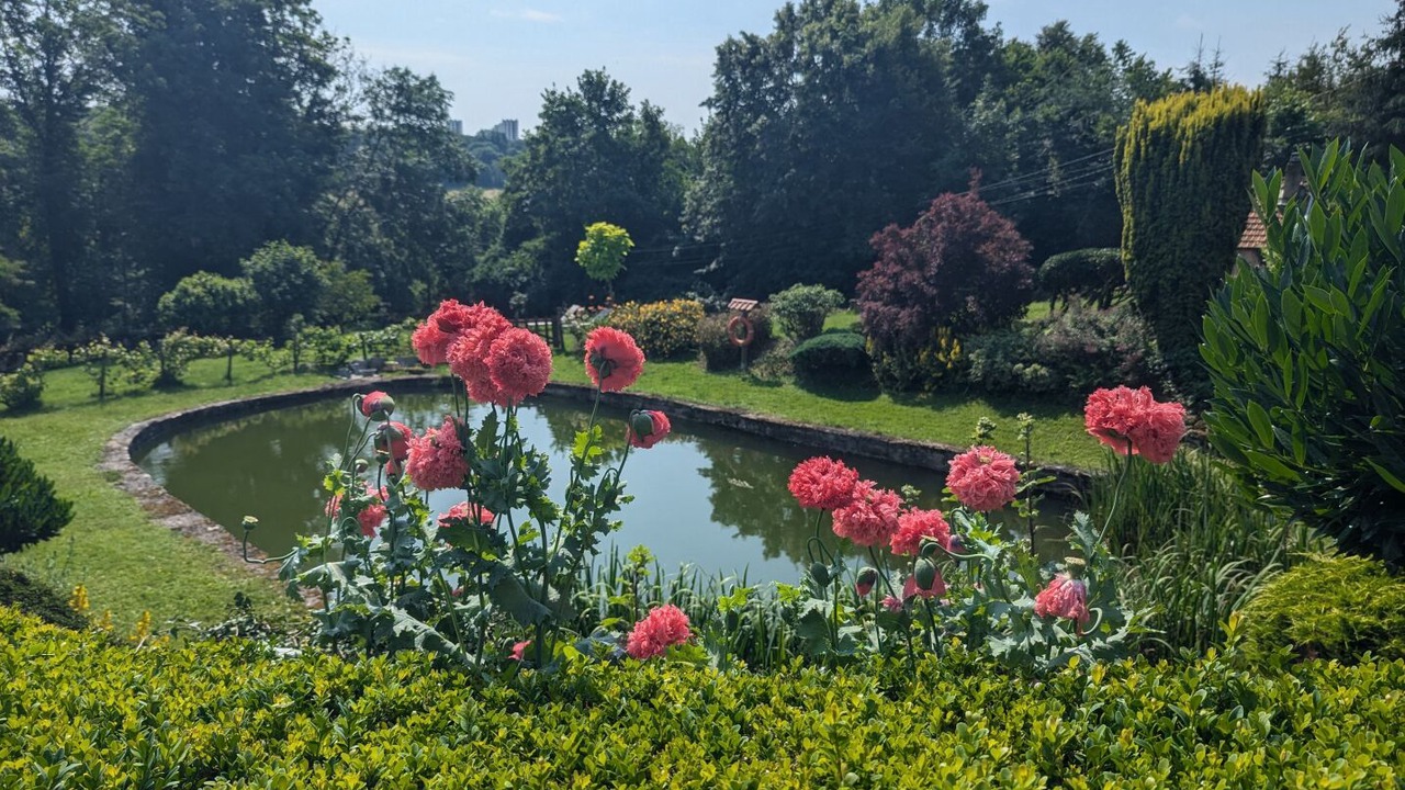 Photo of Outdoor in Langres