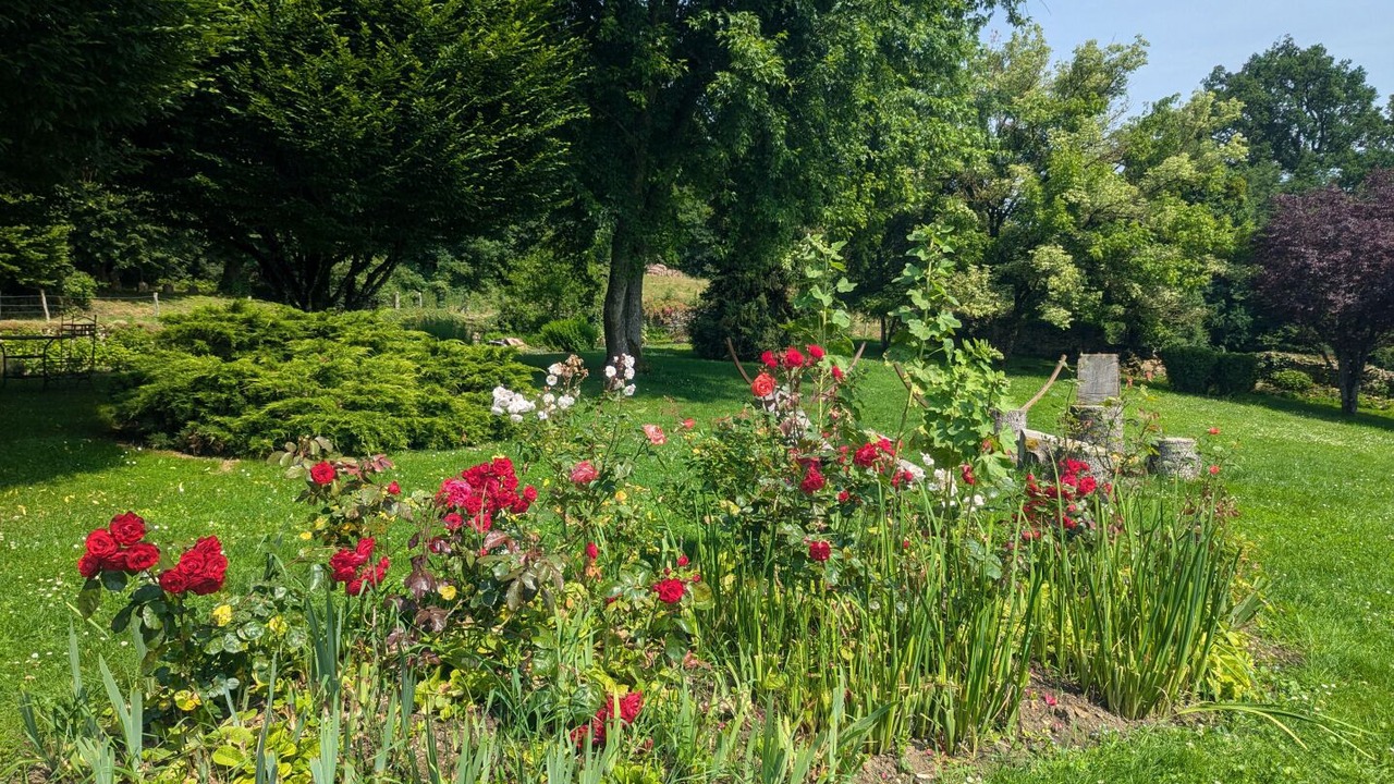 Photo of Outdoor in Langres