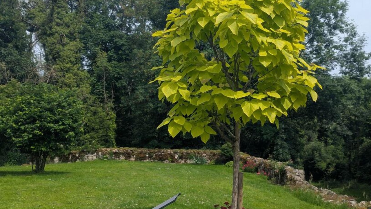 Photo of Outdoor in Langres