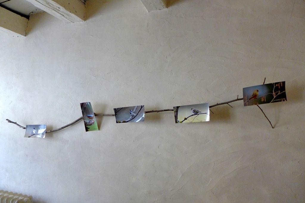 Photo of Others in Giey-sur-Aujon