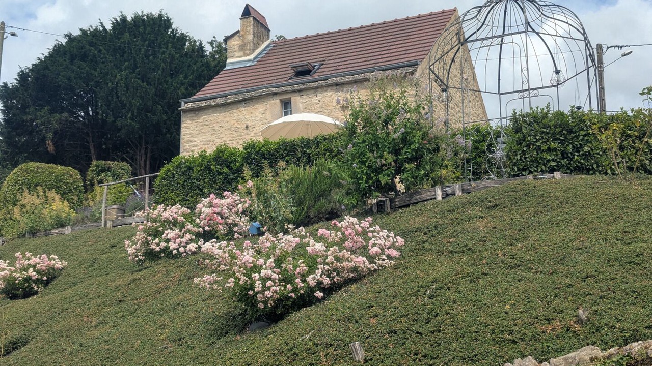 Photo of Outdoor in Cohons