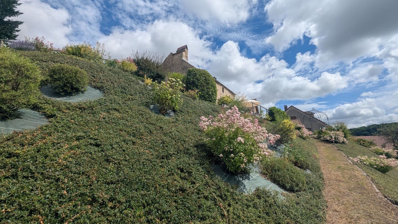 Photo of Outdoor in Cohons