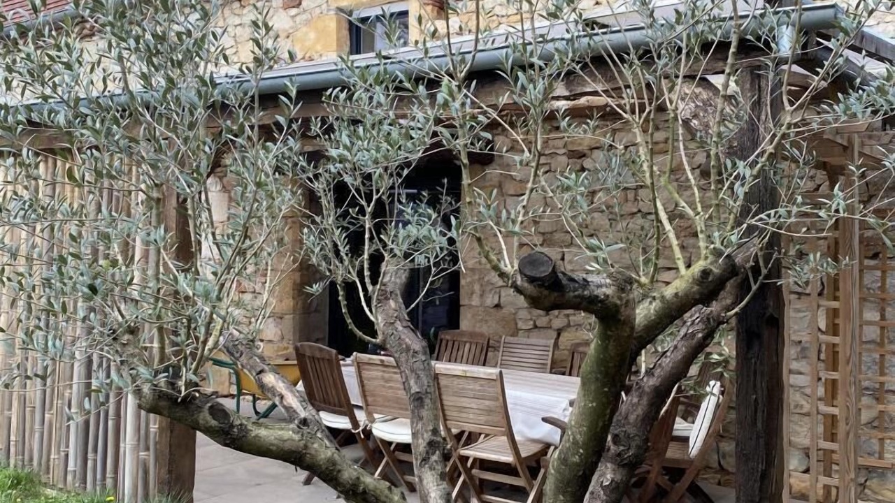 Photo of Outdoor in Prudhomat