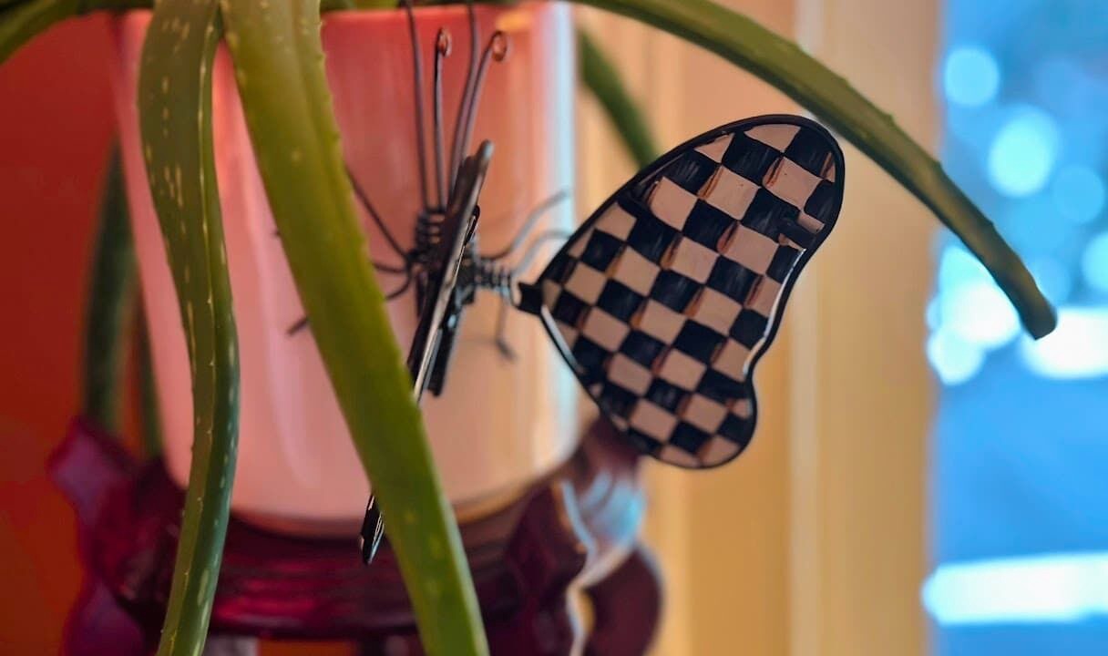 Photo of Others in Oswego