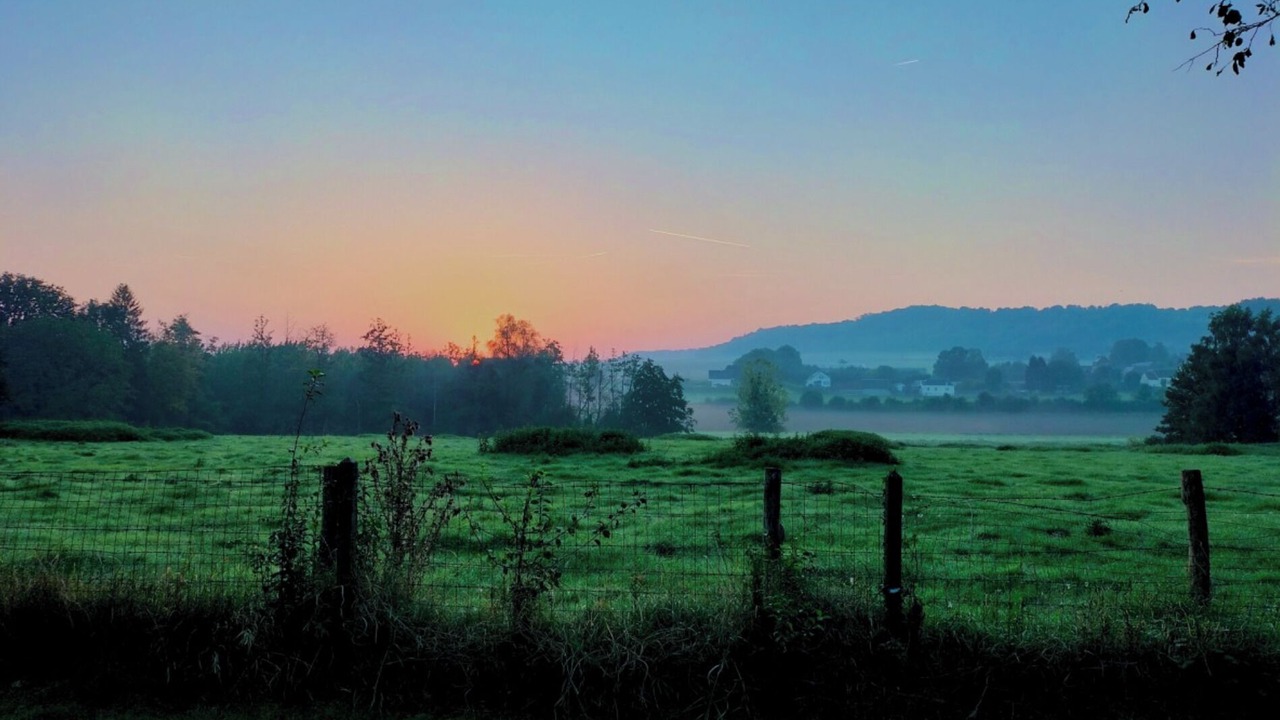 Photo of Others in Neuf-Marche