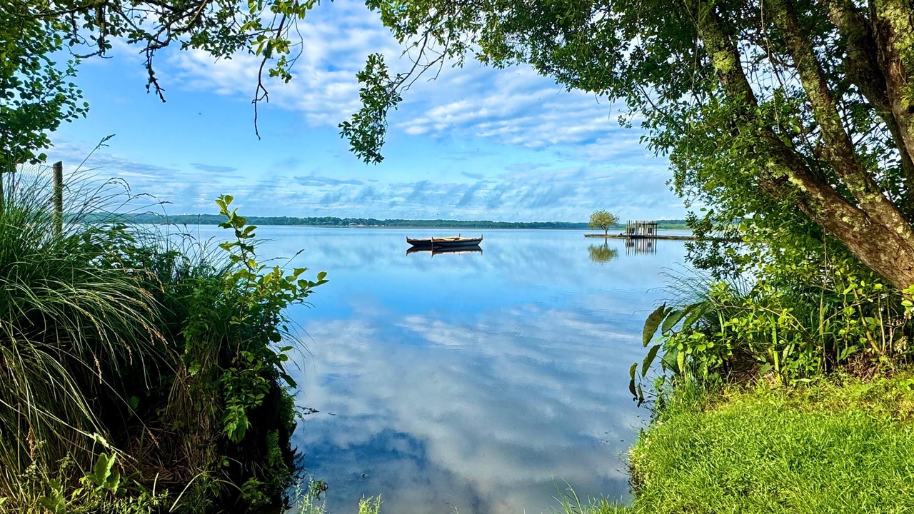 Photo of Others in Leon