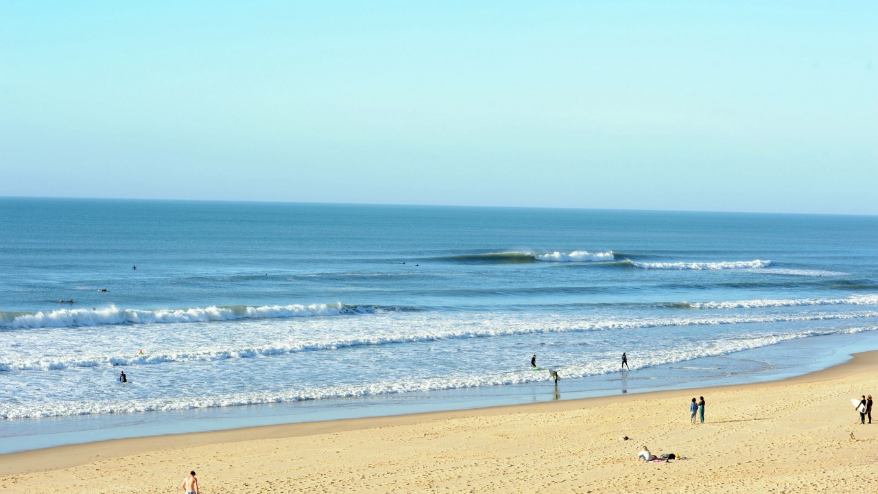 Photo of Others in Leon