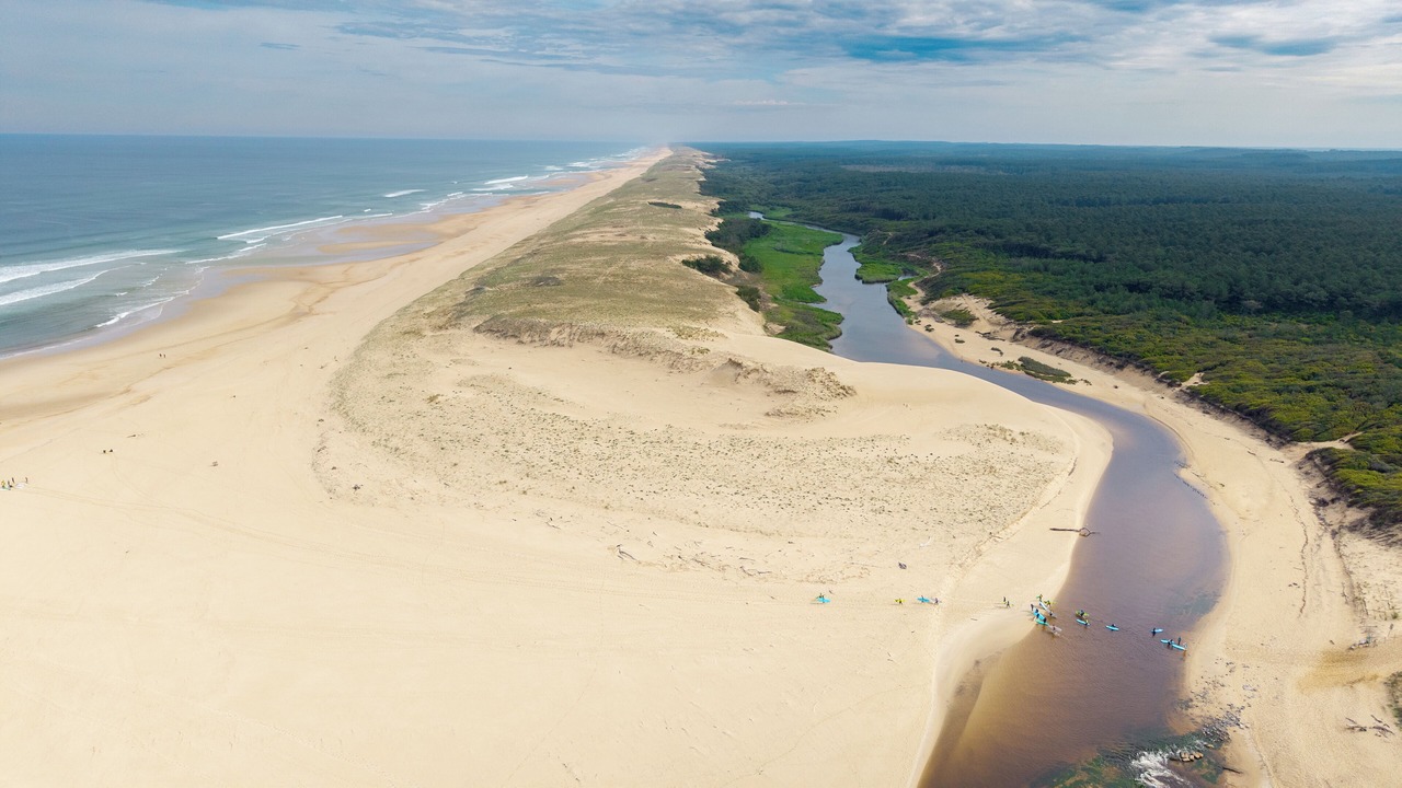 Photo of Others in Leon