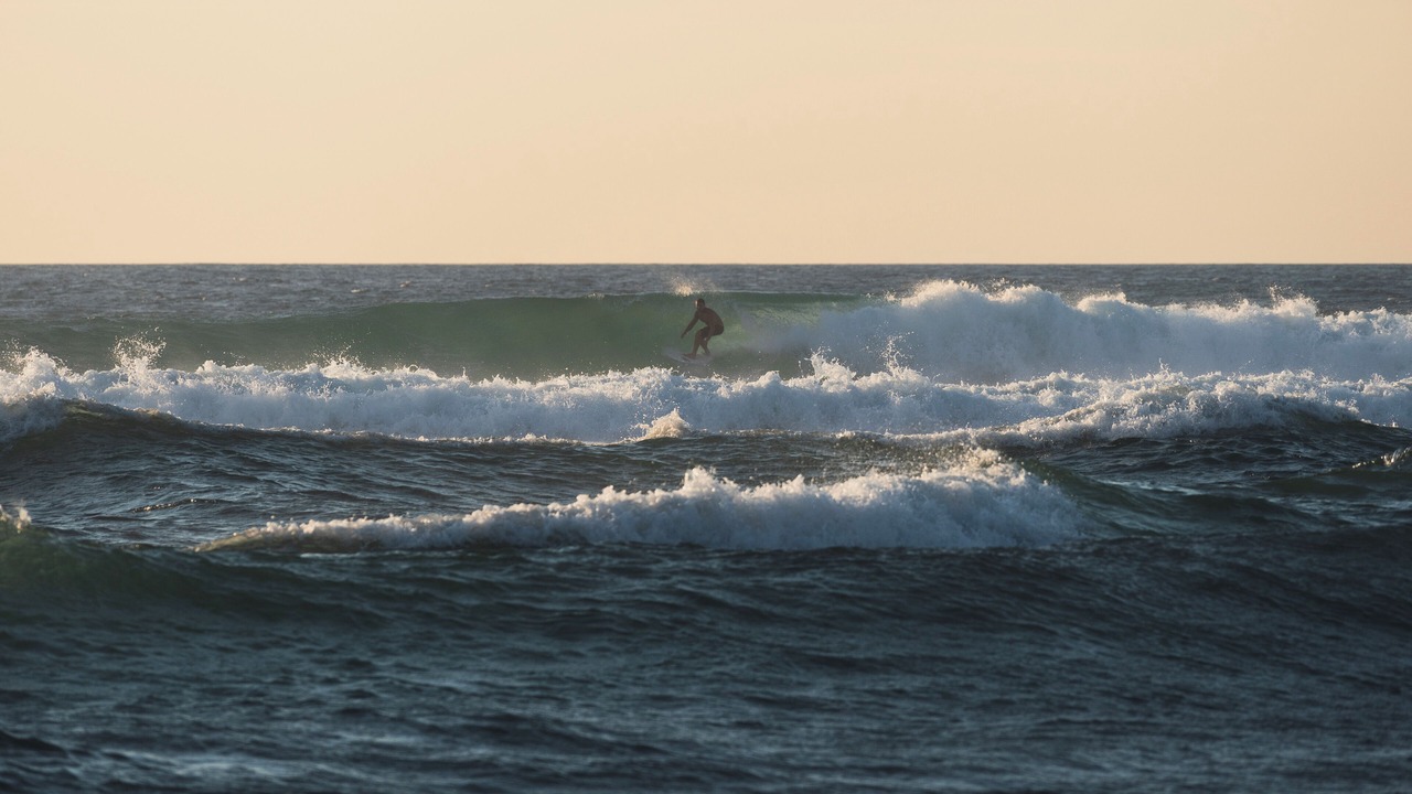 Photo of Others in Leon