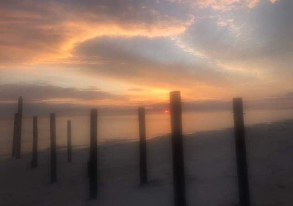 Photo of Others in Alligator Point