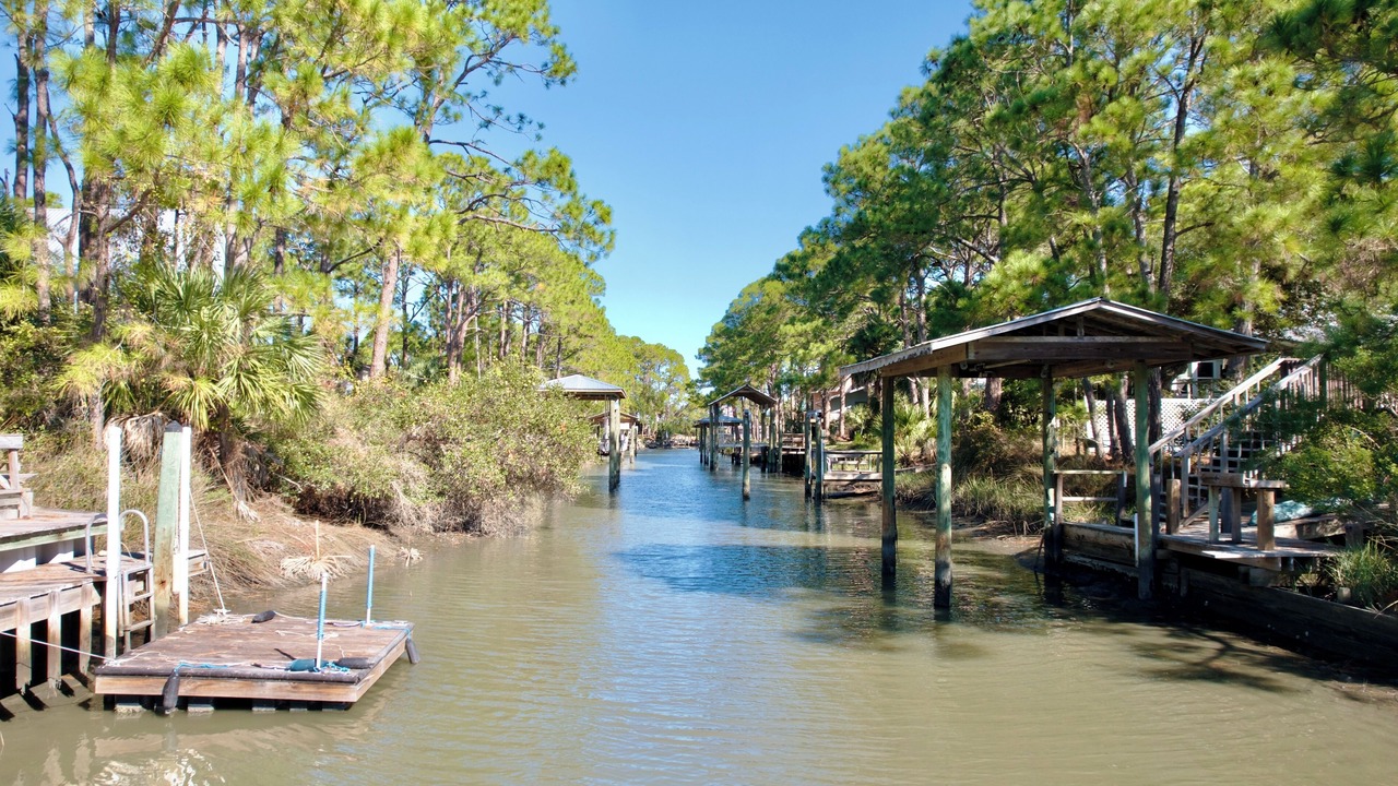 Photo of Others in Alligator Point