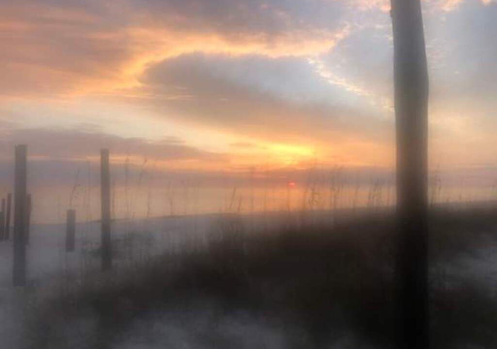 Photo of Others in Alligator Point