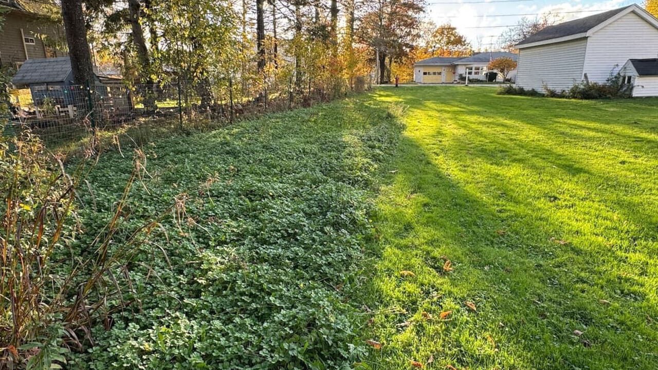 Photo of Outdoor in Pittsfield