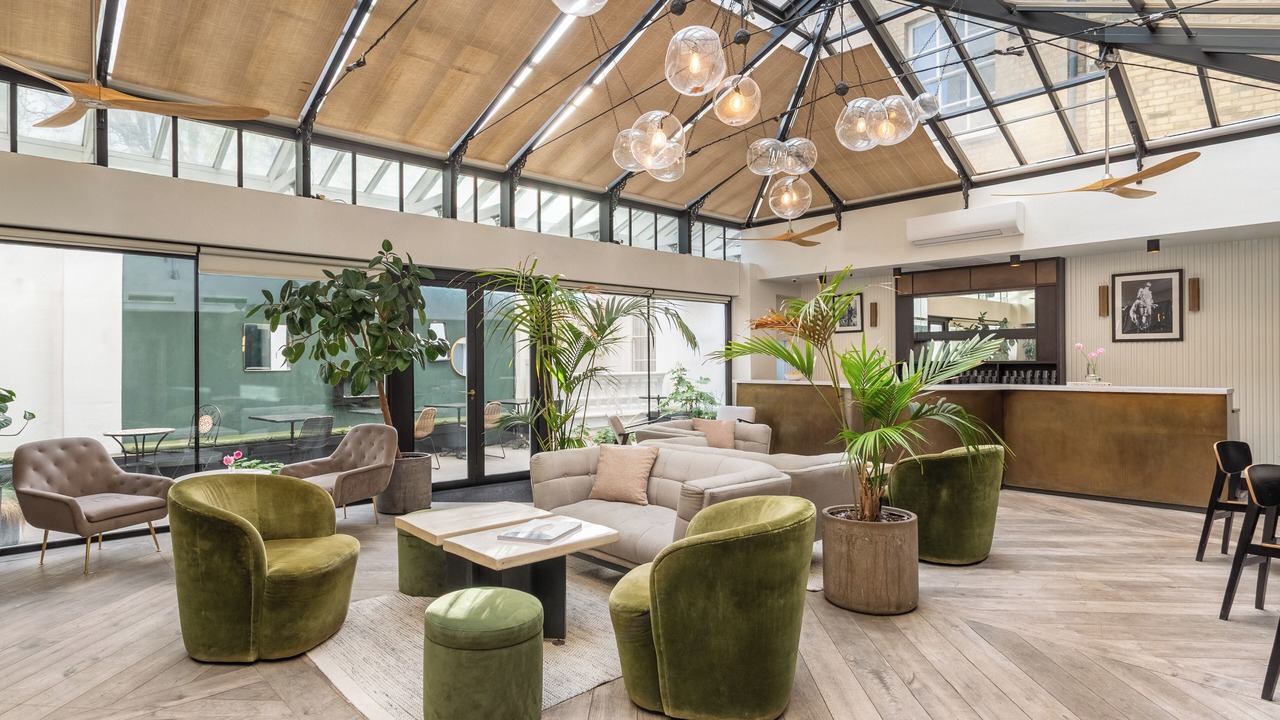 Photo of Others in Chelsea