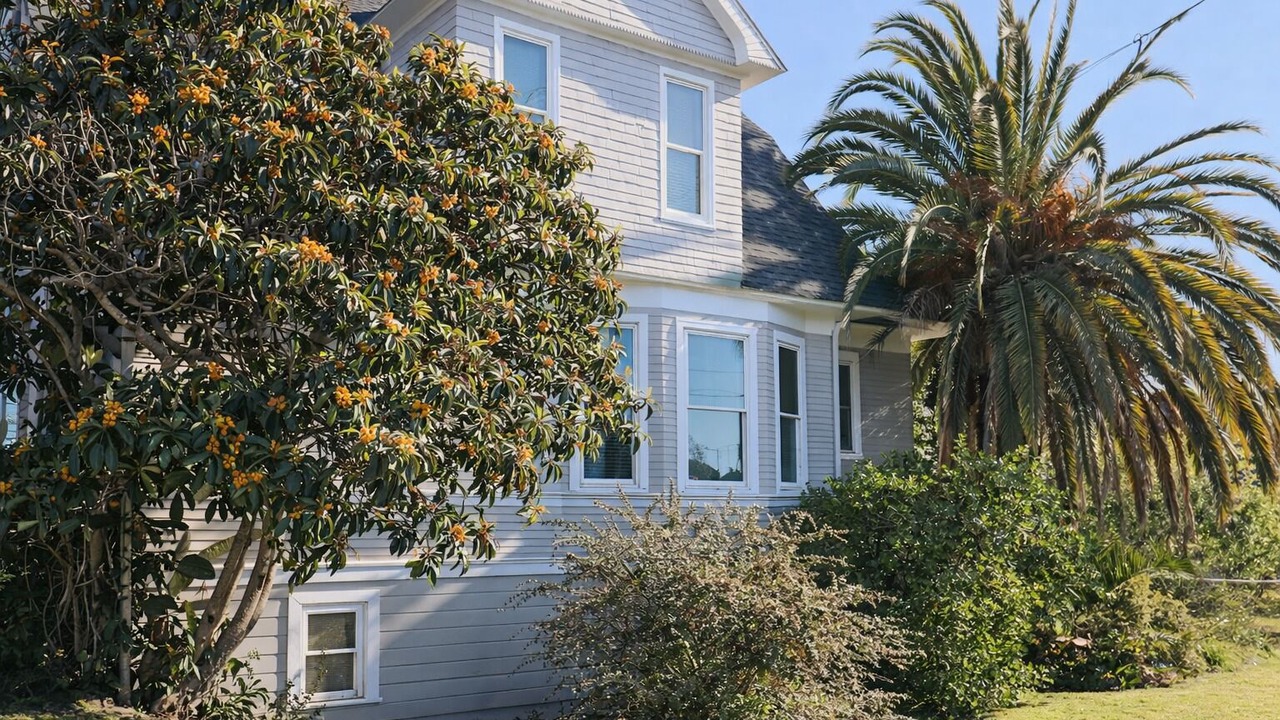 Photo of Others in Oakland