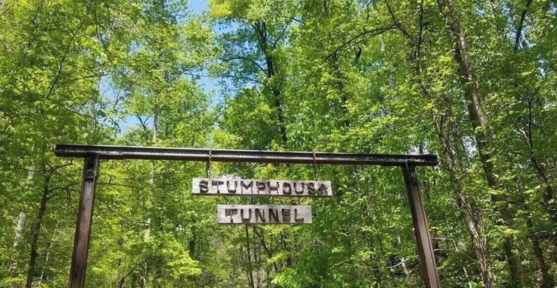 Photo of Others in Wiley