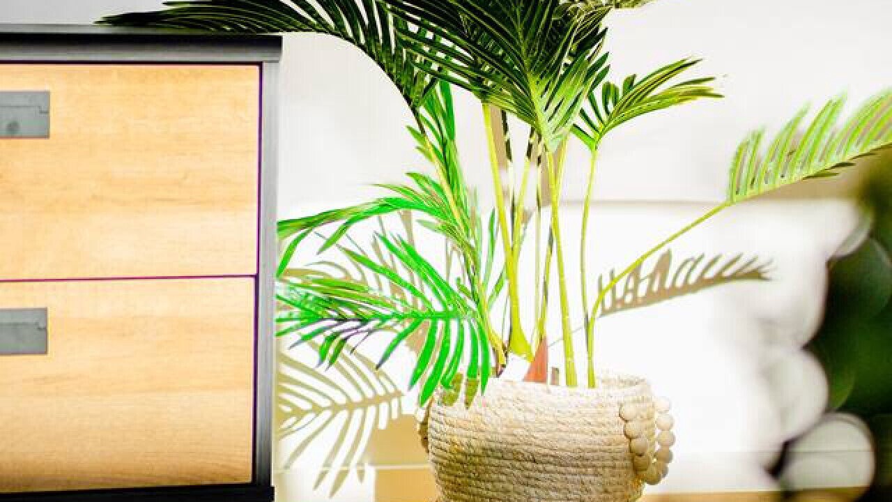 Photo of Others in Melton South