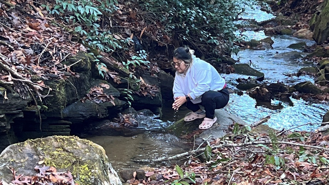 Photo of Others in Mills River