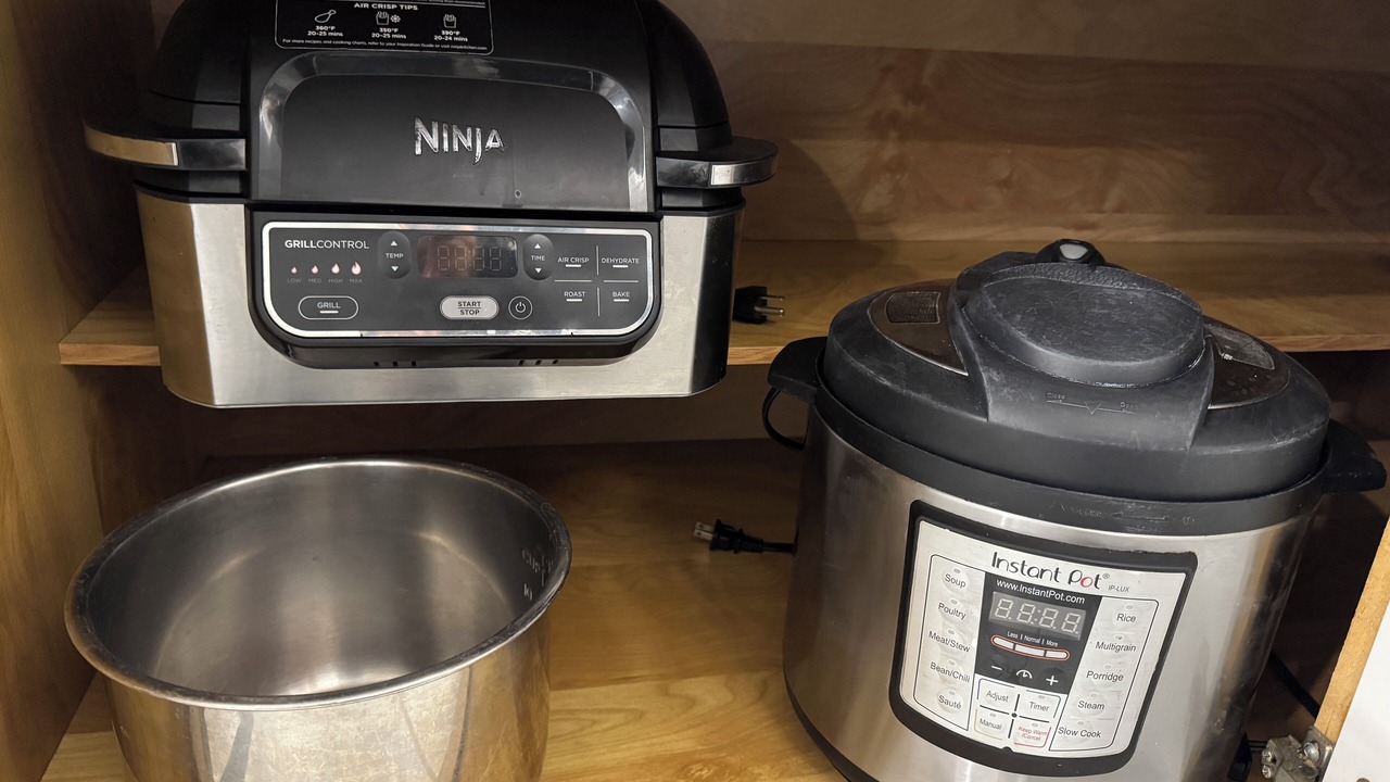 Photo of Others in Hollyford