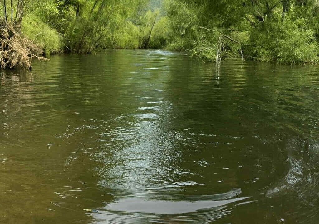 Photo of Others in Kennedy Bay
