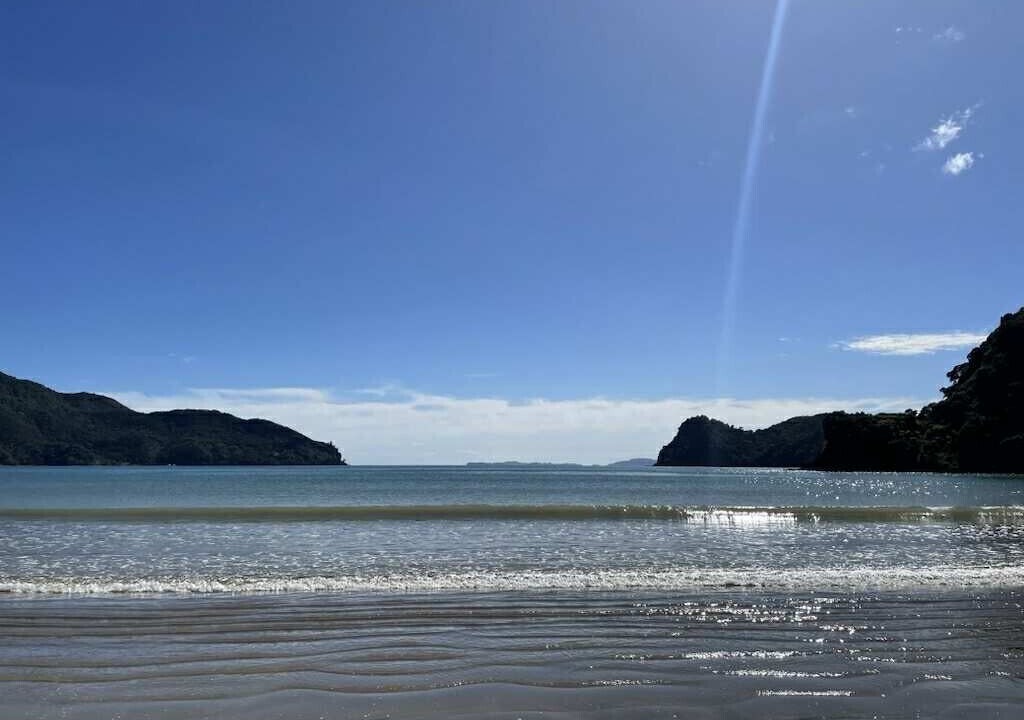 Photo of Others in Kennedy Bay