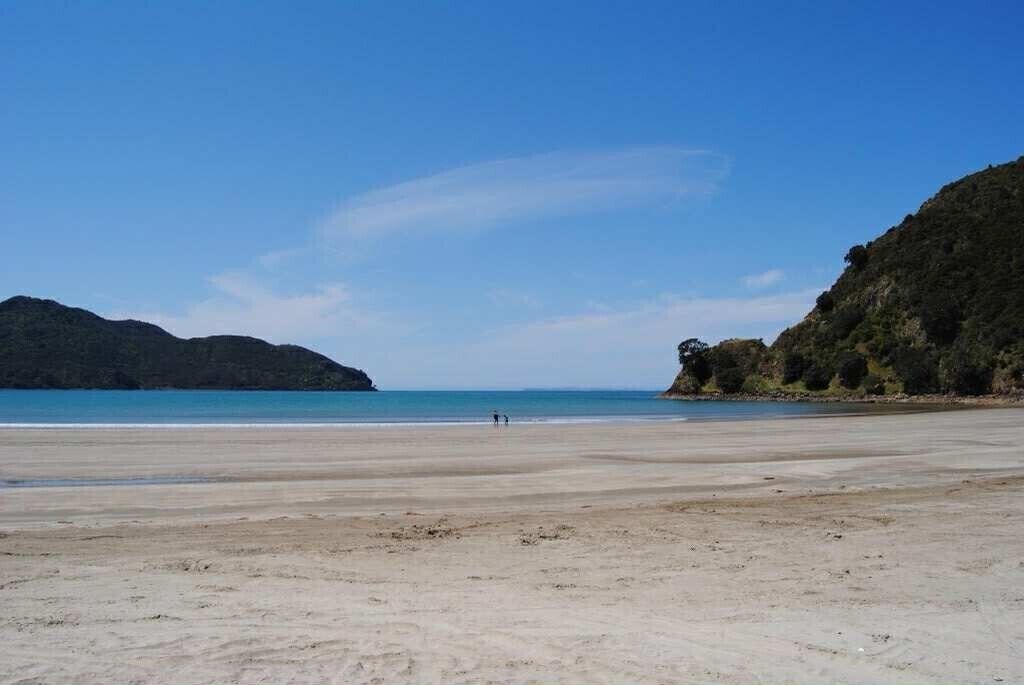 Photo of Others in Kennedy Bay