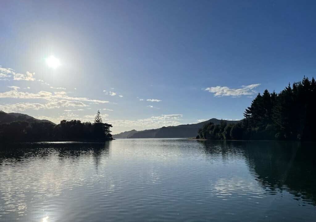 Photo of Others in Kennedy Bay