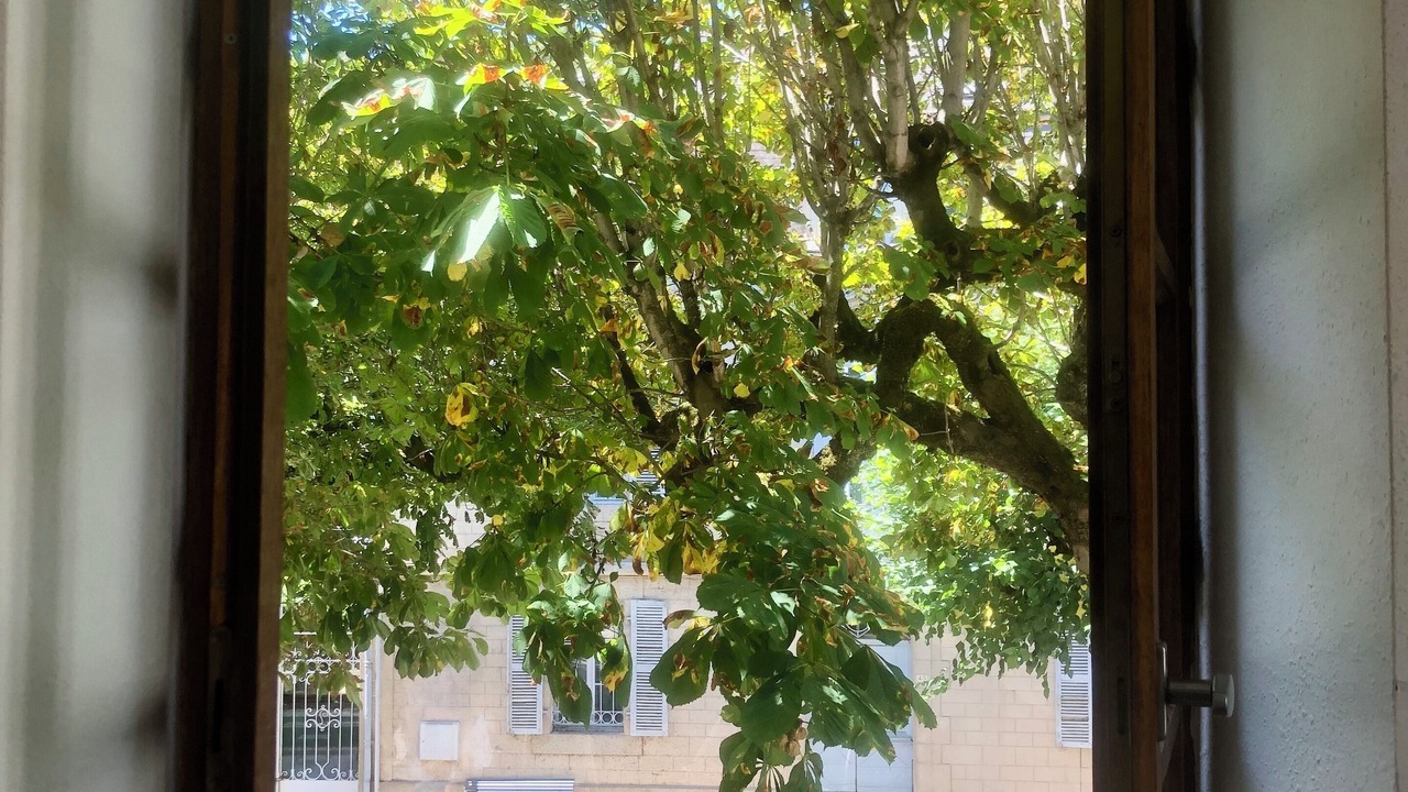 Photo of Others in Cajarc