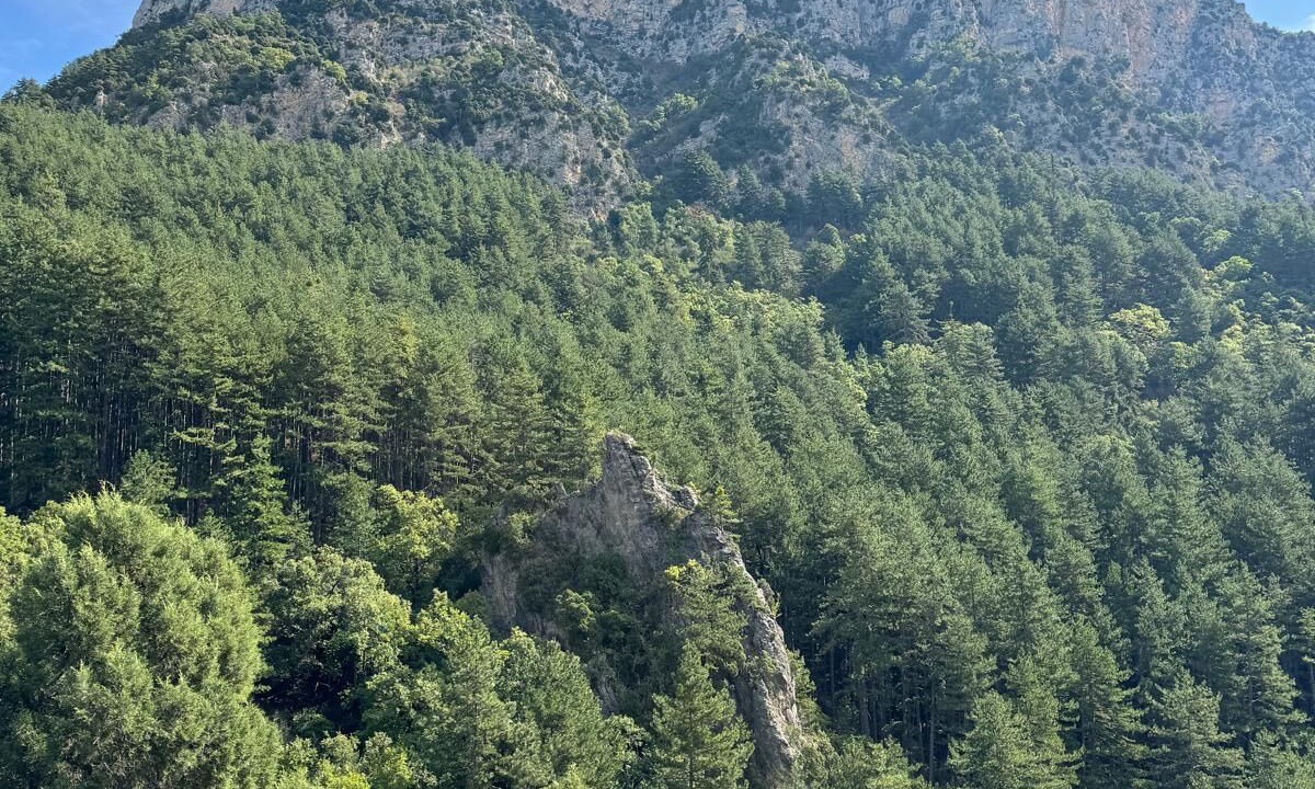 Photo of Others in Estoublon