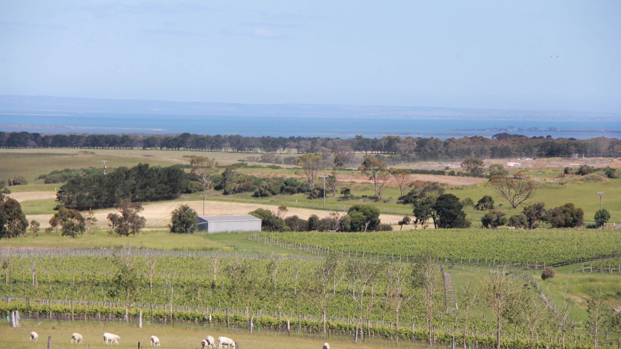 Photo of Others in Drysdale