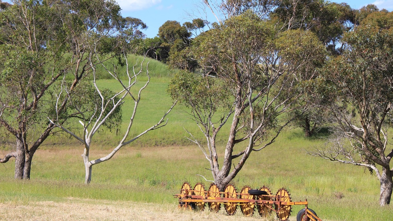 Photo of Others in Drysdale