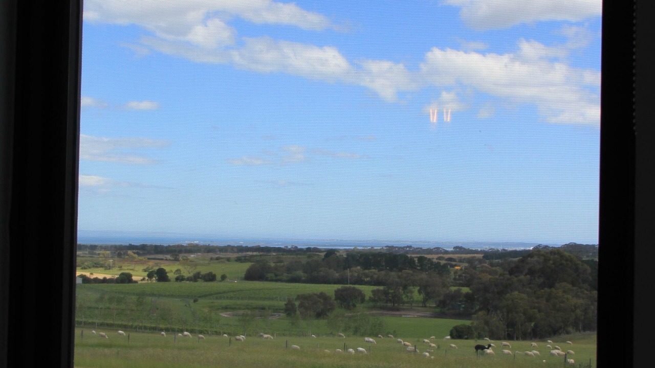 Photo of Others in Drysdale