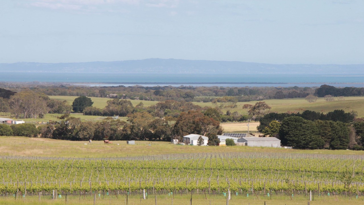 Photo of Others in Drysdale